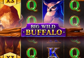 Автомат Big Wild Buffalo в Stake Casino